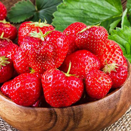 Picture of Red Strawberry Imported Global Seeds -30 pcs Seeds