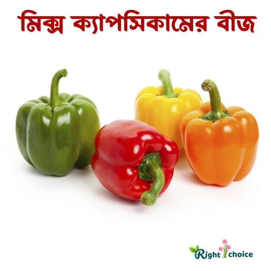 Picture of Multicolor Capsicum seeds 25 pcs