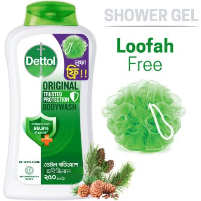 Picture of Dettol Antibacterial Body Wash Loofah Free Shower Gel Original Pine Fragrance with Trusted Protection 250ml