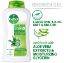 Picture of Dettol Aloe Vera with Moisturizing Glycerin Bodywash Leaves Skin Feeling Soft & Smooth 250ml