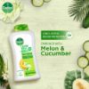 Picture of Dettol Antibacterial Body Wash Loofah Free Shower Gel Lasting Fresh with Refreshing Melon & Cucumber Fragrance, 12 Hours Odour Protection 250ml