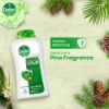 Picture of Dettol Antibacterial Body Wash Loofah Free Shower Gel Original Pine Fragrance with Trusted Protection 250ml