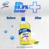 Picture of Harpic Lizol Double Protection- 750ml Toilet Cleaner & 500ml Citrus Surface Cleaner Combo