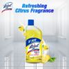 Picture of Lizol Disinfectant Floor & Surface Cleaner 1L Citrus, Kills 99.9% Germs