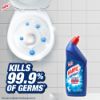 Picture of Harpic Toilet Cleaner 2L (1L X 2), Double Pack Original Power Plus 10/10 Stain Remover